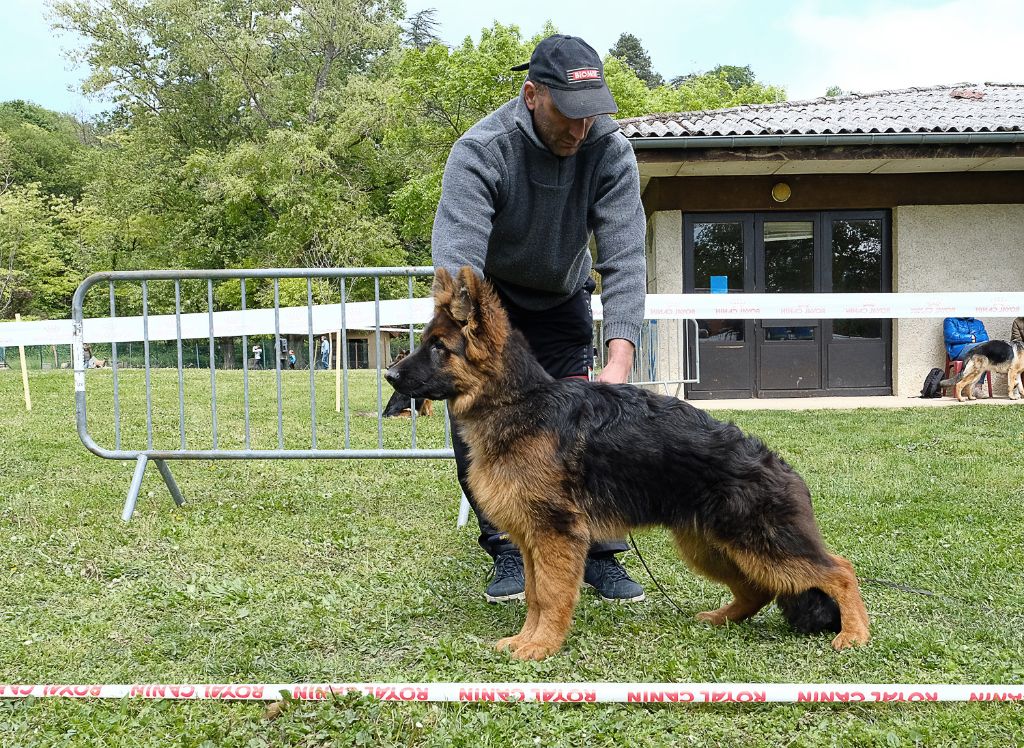 des Légendes du Castel - Régionale d'Elevage de Rillieux la Pape du 5 mai 2019