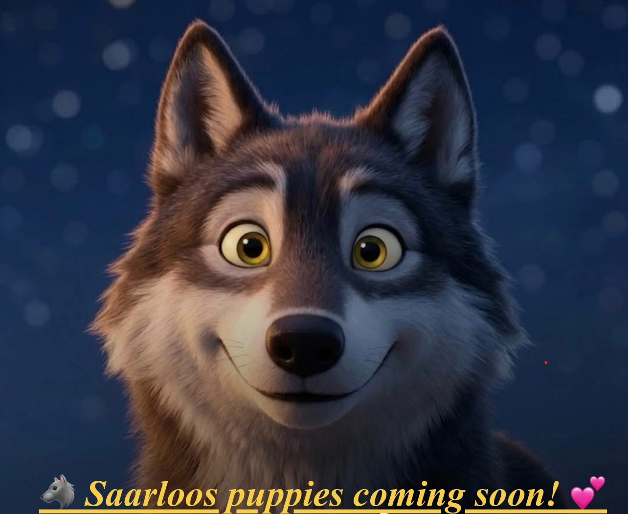 Portée de chiens-loups de Saarloos