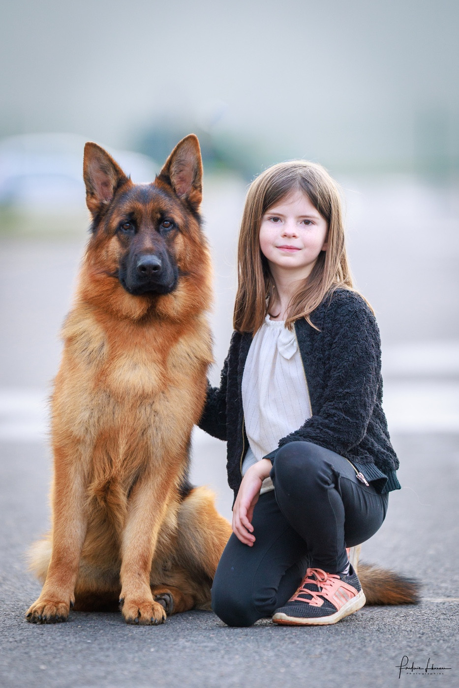 Ayrton à l exposition canine de Chalons en Champagne