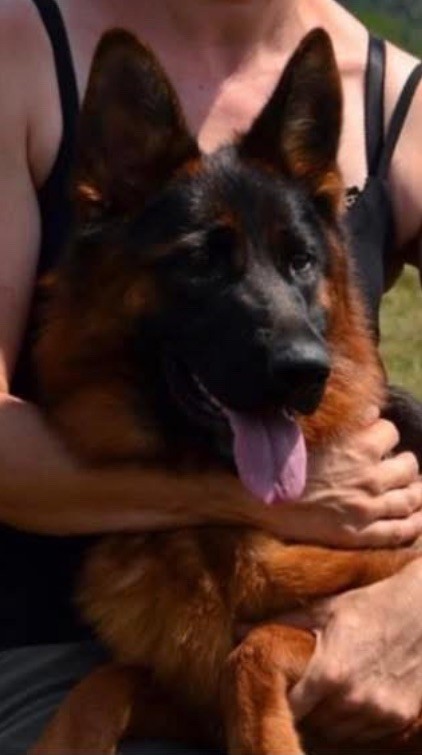 Prochaines portées en novembre 2025