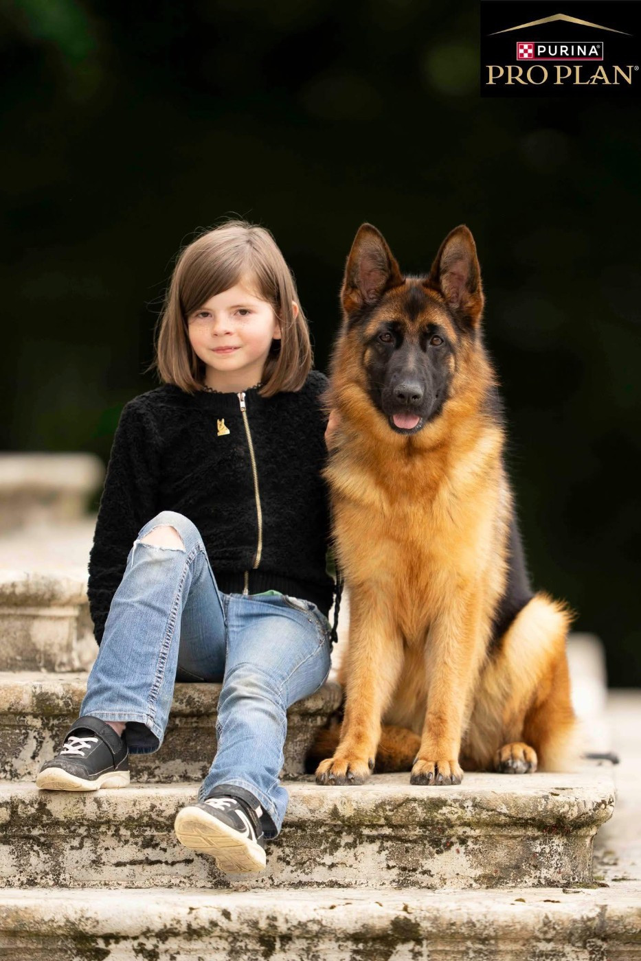 Chiot Berger Allemand des Légendes du Castel
