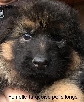 RADJA
