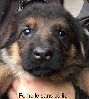 ROXY